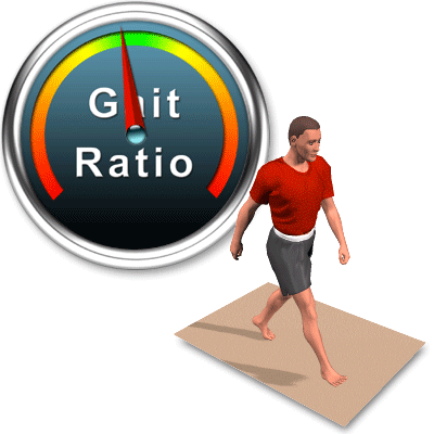 Gait Analysis Animation