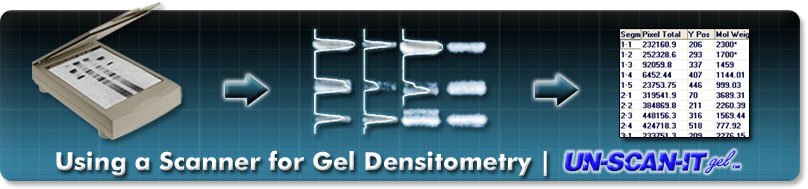 densitometry software free download