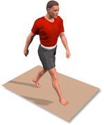 Walking Gait