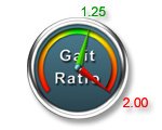 Gait Meter Gauge Options