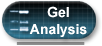 Gel Analysis