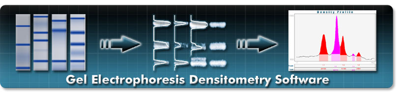 Electrophoresis Densitometry