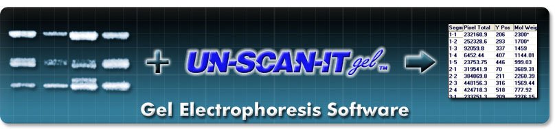 Gel Electrophoresis Software