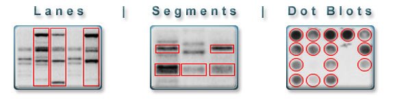 Gel Densitometry Modes