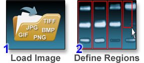 Gel Analysis Steps