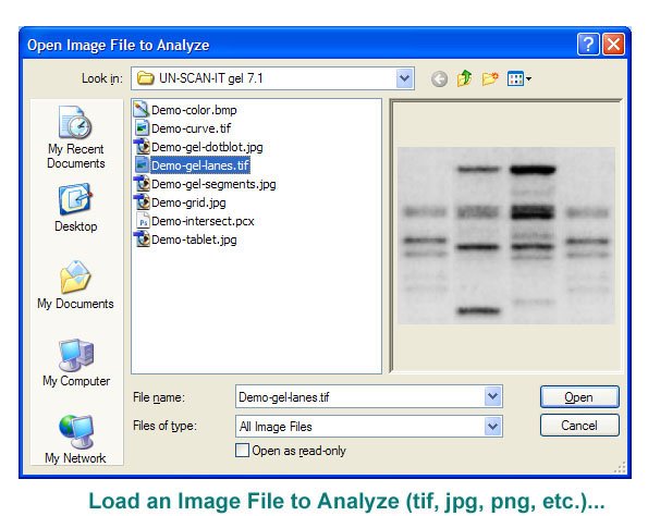 Load Gel Image