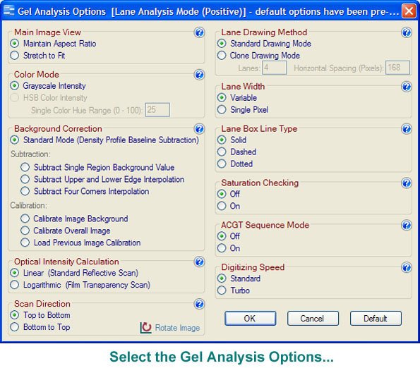 Gel Analysis Options