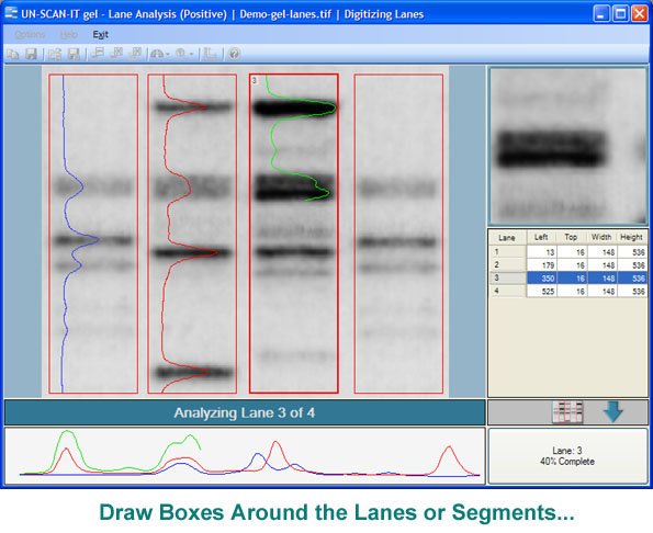 Define Gel Lanes or Segments