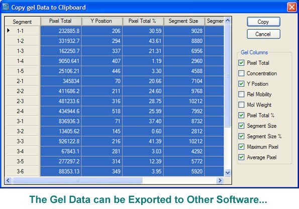 Export the Gel Data