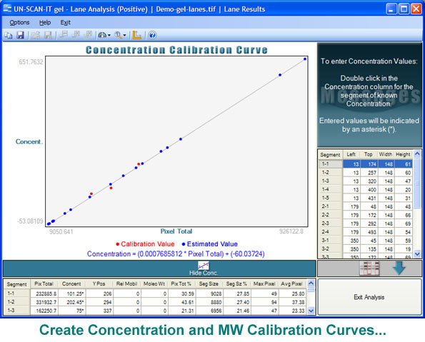 Electrophoresis Densitometry Concentration Curve