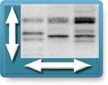 Scalable Image Control