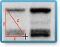 Distance Measuring Tool