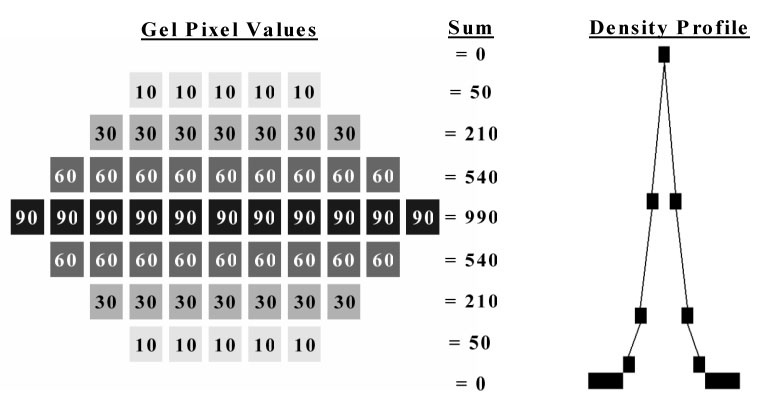 Figure2. Pixel values, pixel sums, and density profile for a theoretical gel band.