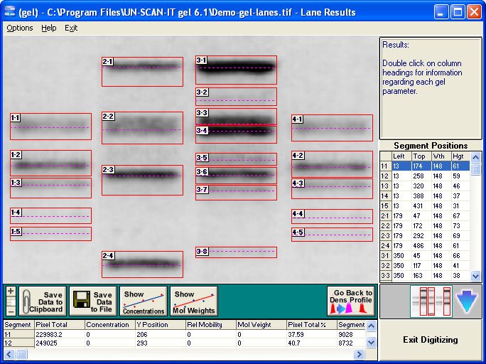 Figure 4. Screen image showing quantified gel band values.
