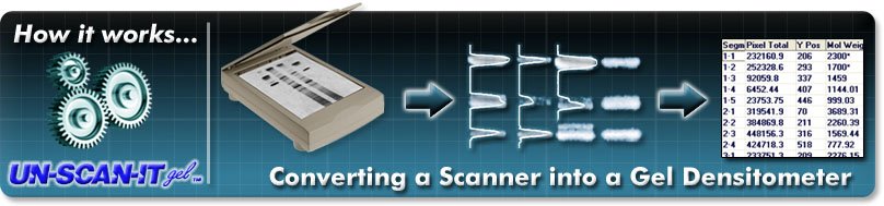 How it Works - Gel Analysis