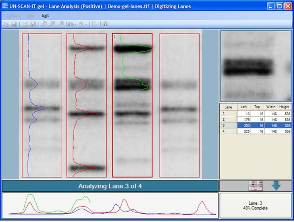 Figure 5. Gel Setup Screen after the Lanes/Segments have been defined.