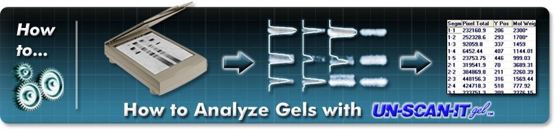 How to Analyze Gels