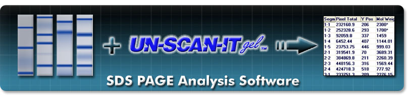 SDS-PAGE Analysis